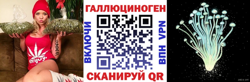 Купить где  Гудермес  Псилоцибиновые грибы ЛСД 